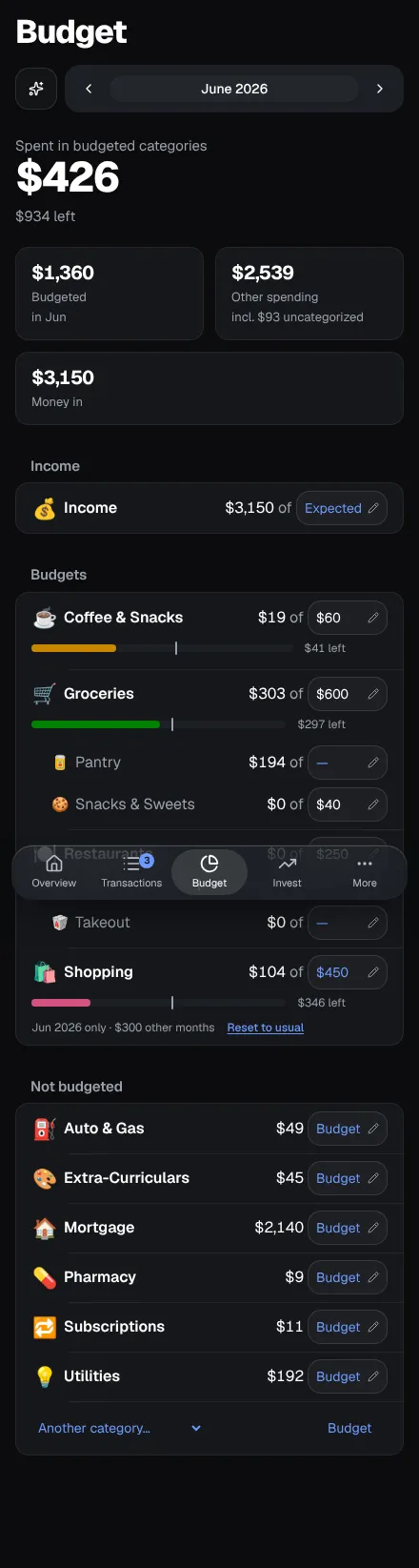 A page make verify saved: the Budget page at phone width, with demo data